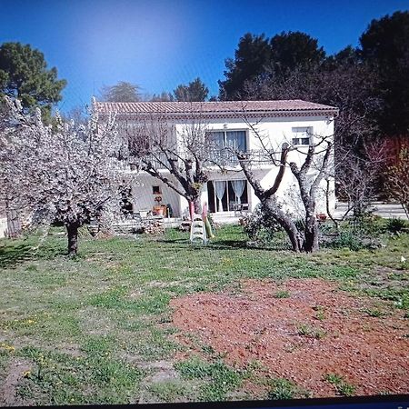 La Maison De Papou La Vigne A Nans Les Pins 83860 Exteriör bild