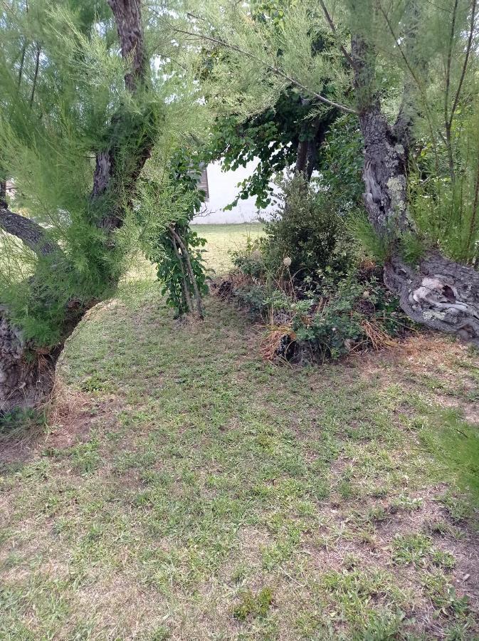 La Maison De Papou La Vigne A Nans Les Pins 83860 Exteriör bild