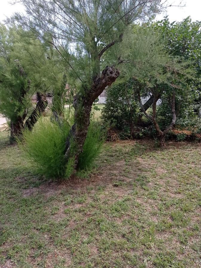 La Maison De Papou La Vigne A Nans Les Pins 83860 Exteriör bild